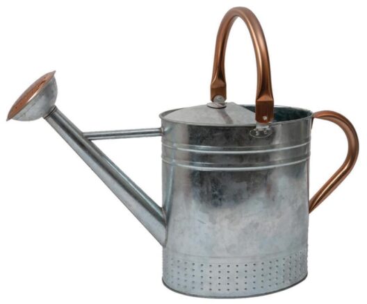Spear & Jackson Kew Gardens Collection Galvanised French Style Watering Can 9L